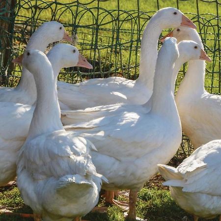 Grosse Ferienwohnung Sierndorf المظهر الخارجي الصورة